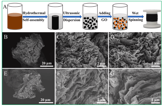 南通大学《Carbon》：可扩展制备分层多孔石墨烯纤维，用于高性能柔性超级电容器