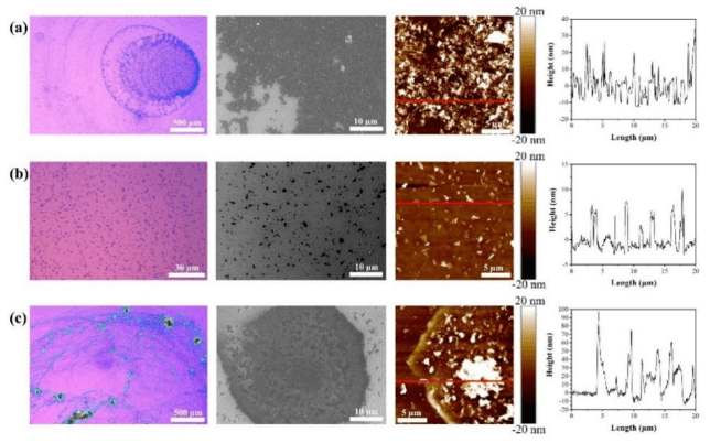 技术进展：石墨烯微片形貌的原子力显微镜高通量分析检测技术