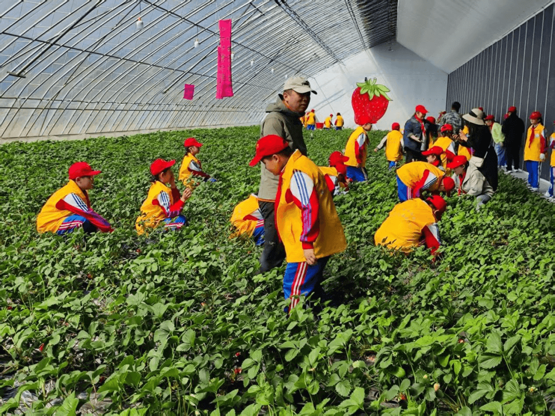 【实践教育】“徒步•劳动•找春天”大教育观主题研学活动圆满成功——综合实践基地“行走的思政课”系列活动