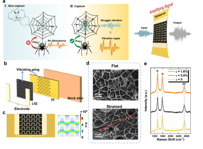 清华大学《CEJ》：受蜘蛛织网启发的石墨烯人工喉，用于人机交互和机器人听觉等