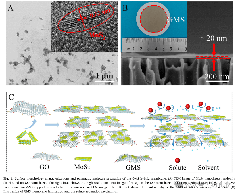 定制具有可调节纳米通道的氧化石墨烯纳滤膜增强分子分离