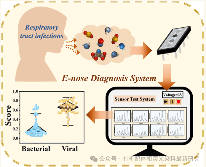 浙江大学邬建敏等ACS：基于石墨烯的电子鼻传感器阵列，快速区分细菌性和病毒性呼吸道感染的新方法