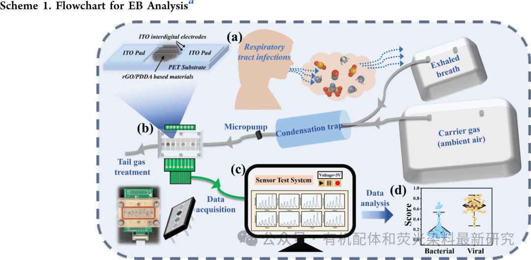 浙江大学邬建敏等ACS：基于石墨烯的电子鼻传感器阵列，快速区分细菌性和病毒性呼吸道感染的新方法