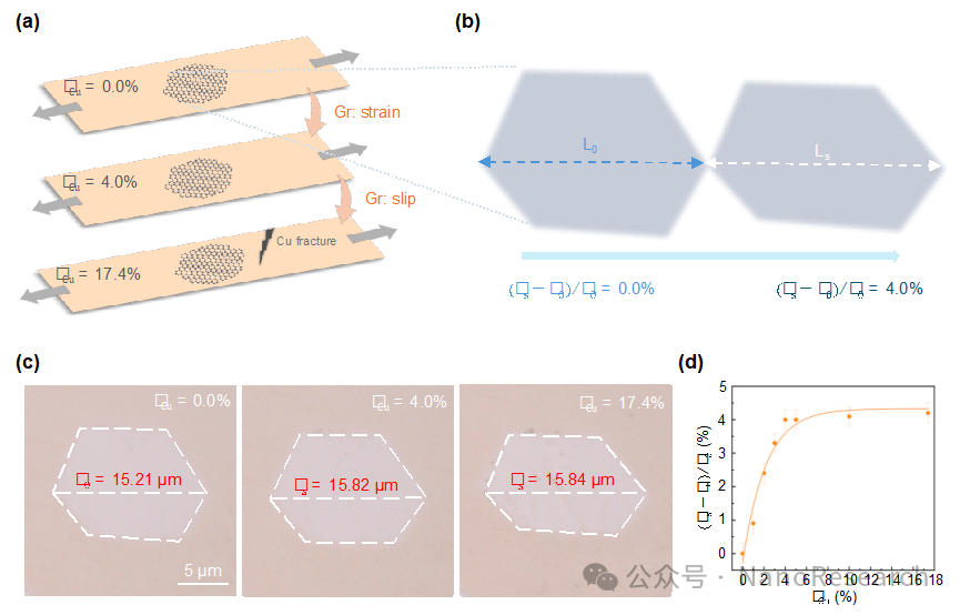 Nano Res.[碳]│北京大学刘开辉课题组: “应变-滑移”机制揭示石墨烯在铜复合材料中的结构完整性成因