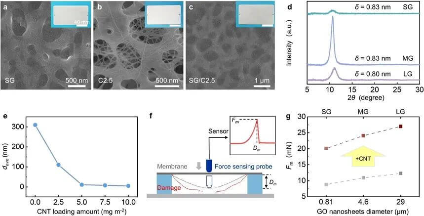 北京大学刘开辉教授团队AFM：突破耐高压瓶颈！氧化石墨烯与碳纳米管复合膜助力高效纳滤技术