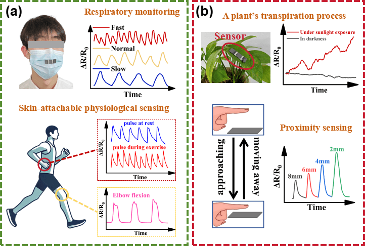深圳技术大学史济东等 Carbon：基于石墨烯-纳米纤维素复合薄膜的自修复应变/湿度双模传感器的设计及在可穿戴呼吸监测的应用