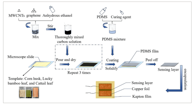 吕梁学院《AMT》：以植物叶子为模板制备石墨烯-MWCNTs-PDMS复合膜，用于人体信号检测