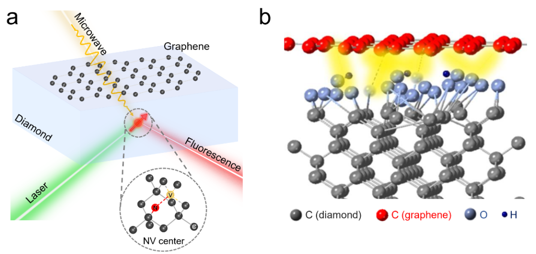 利用金刚石-石墨烯界面杂化增强纳米量子传感器的相干性质 | NSR