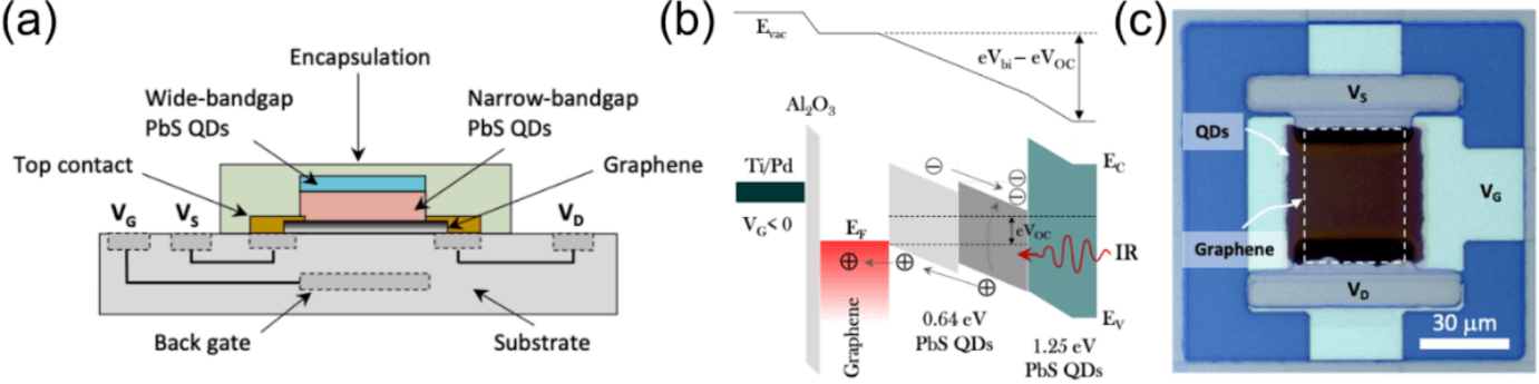 采用晶圆级工艺制造的宽带、高响应度、快速石墨烯量子点光电探测器