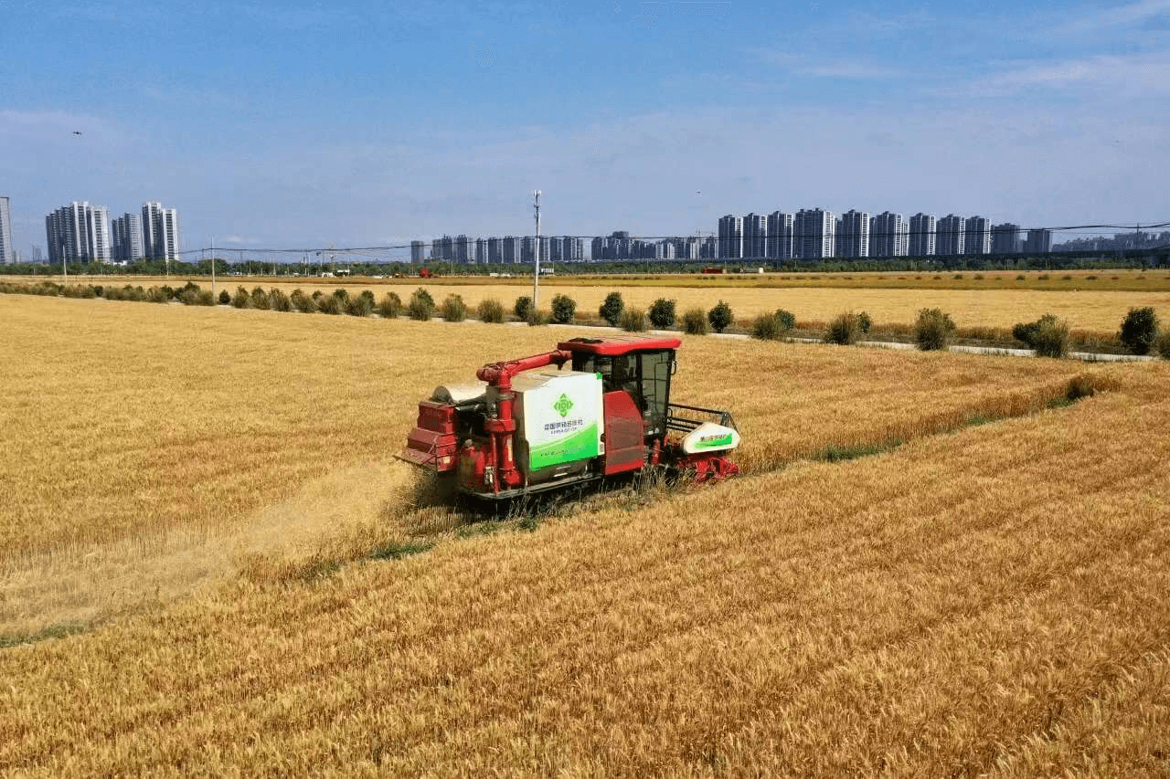 25℃室温点“草”成“金”！浙江一科研团队让秸秆变成石墨烯