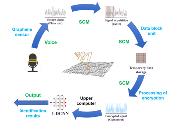 北京理工大学《ACS ANM》：基于石墨烯的声学传感器的语音加密