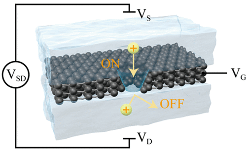南方科技大学《ACS Nano》：静电门控三层石墨烯纳米孔作为超薄整流离子过滤器