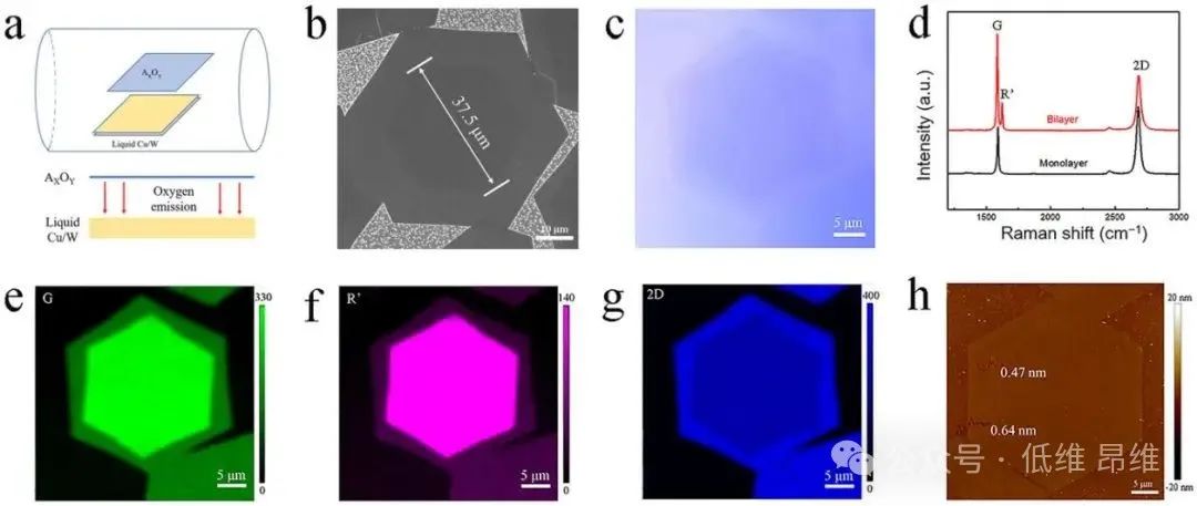 中科院化学研究所，南京邮电大学，北京科技大学Adv.Mater.:氧辅助CVD生长高质量扭曲双层石墨烯