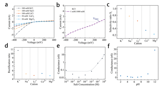 南方科技大学《ACS Nano》：静电门控三层石墨烯纳米孔作为超薄整流离子过滤器