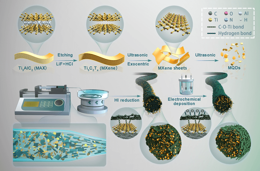 北京服装学院《JES》：PANI@MQDs/石墨烯复合纤维，用于高性能可穿戴超级电容器