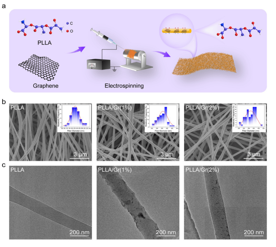 山东大学刘宏、刘超，济南大学王树萍、任娜AHM：分散石墨烯纳米片增强聚（L-乳酸）纳米纤维支架的压电性以促进骨缺损修复