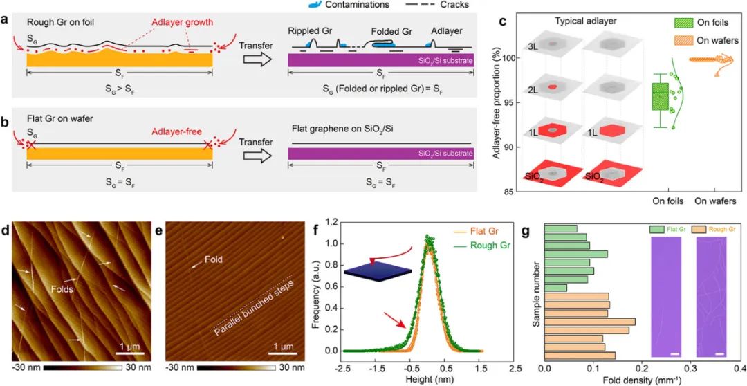 刘忠范院士团队AM：​​BCP再生超平铜衬底实现低缺陷单晶石墨烯