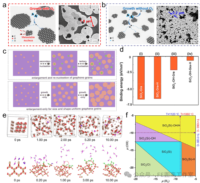 青岛科技大学 Small：化学气相沉积中基于能量策略调控绝缘基底石墨烯生长！！