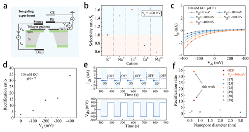 南方科技大学《ACS Nano》：静电门控三层石墨烯纳米孔作为超薄整流离子过滤器
