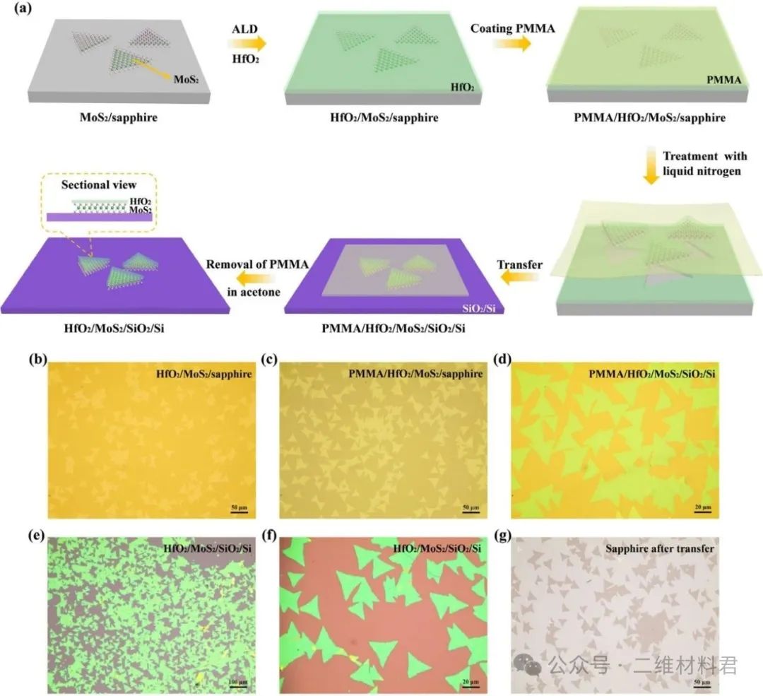 2025，Nano Lett.——液氮辅助二维材料超洁净转移技术