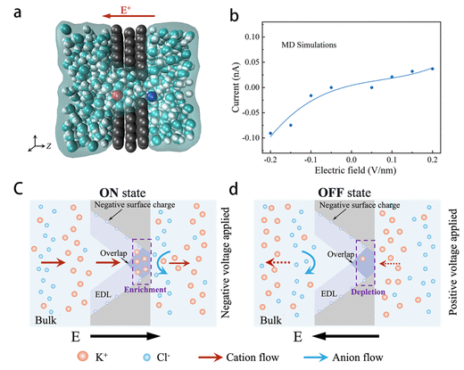 南方科技大学《ACS Nano》：静电门控三层石墨烯纳米孔作为超薄整流离子过滤器
