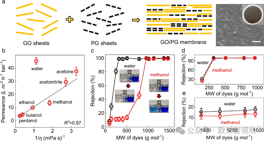 欧米伽书评|Nat Commun.|智能可切换溶剂的石墨烯基膜用于分子级筛分