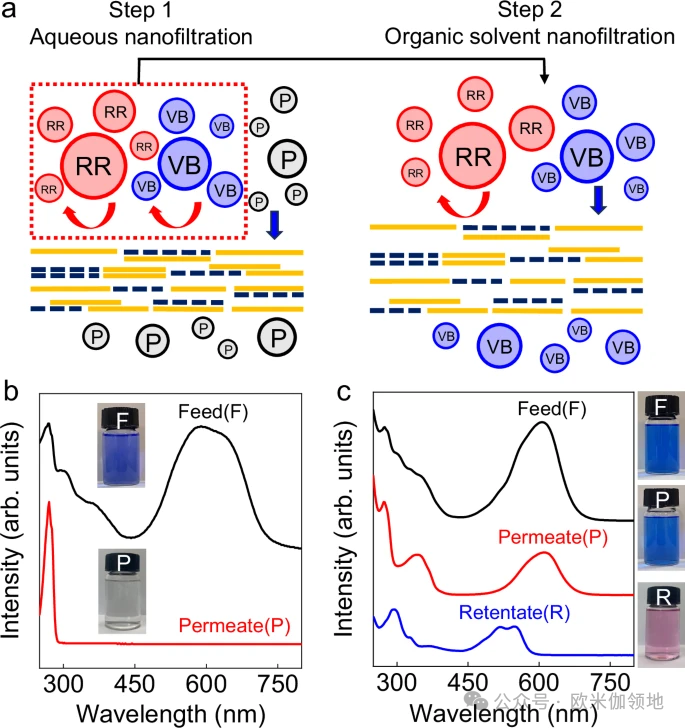 欧米伽书评|Nat Commun.|智能可切换溶剂的石墨烯基膜用于分子级筛分