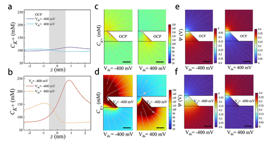 南方科技大学《ACS Nano》：静电门控三层石墨烯纳米孔作为超薄整流离子过滤器