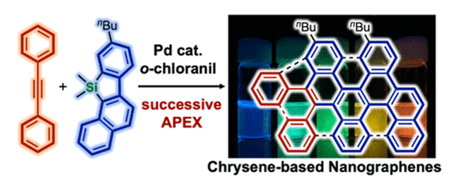 名古屋大学Kenichiro Itami教授团队Precis. Chem. | 基于连续APEX反应的䓛基纳米石墨烯合成