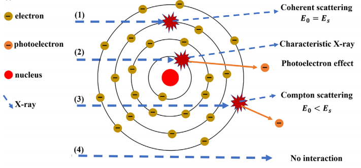 浙大团队开发首款水基X射线探测器，性能超越多数传统半导体探测器