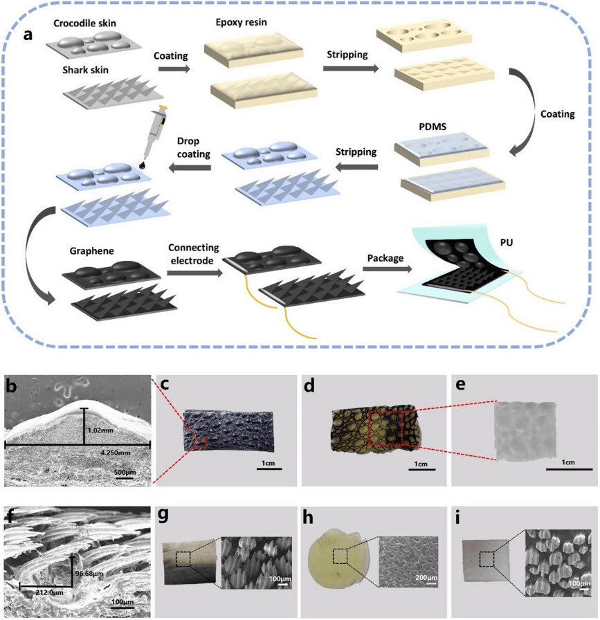 清华大学田禾课题组Adv. Funct. Mater.：鲨鱼与鳄鱼皮肤启发的高性能压力传感