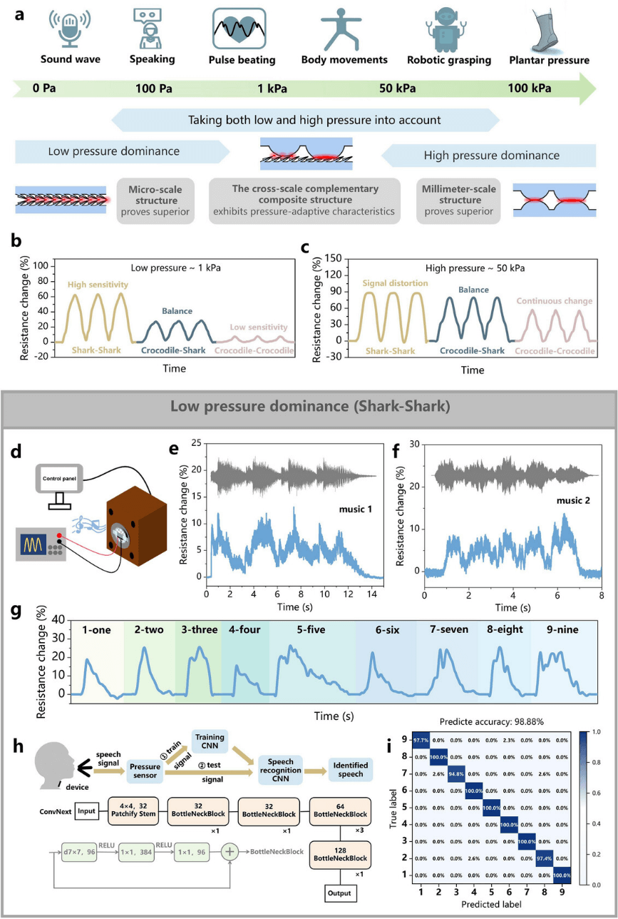 清华大学田禾课题组Adv. Funct. Mater.：鲨鱼与鳄鱼皮肤启发的高性能压力传感