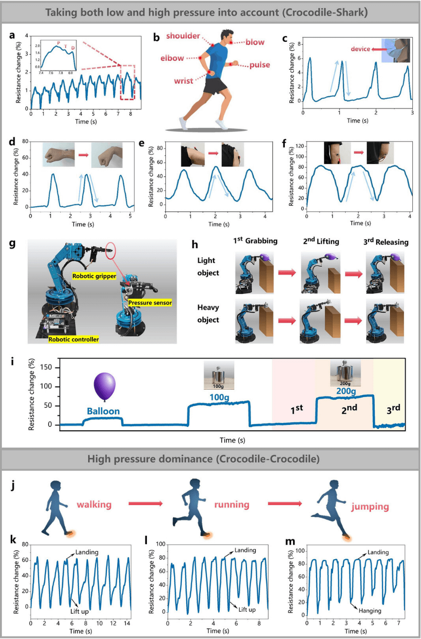 清华大学田禾课题组Adv. Funct. Mater.：鲨鱼与鳄鱼皮肤启发的高性能压力传感