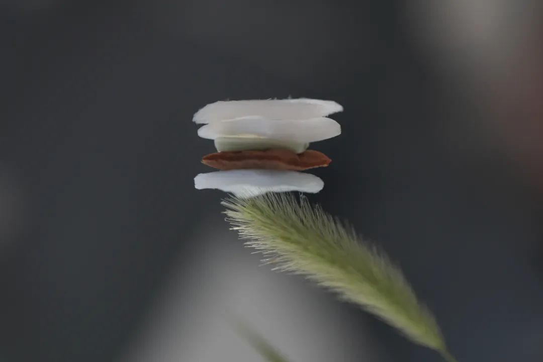 浙江大学高超教授团队 Science：热不化、压不碎 - 弹性气凝胶耐热突破2000°C