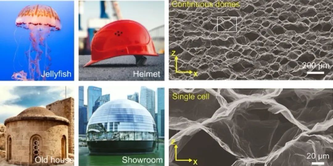 浙江大学高超教授团队 Science：热不化、压不碎 - 弹性气凝胶耐热突破2000°C