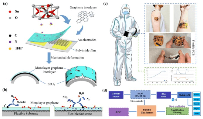 山东大学《CEJ》：单层石墨烯中间层增强型柔性气体传感器，用于可穿戴氨监测