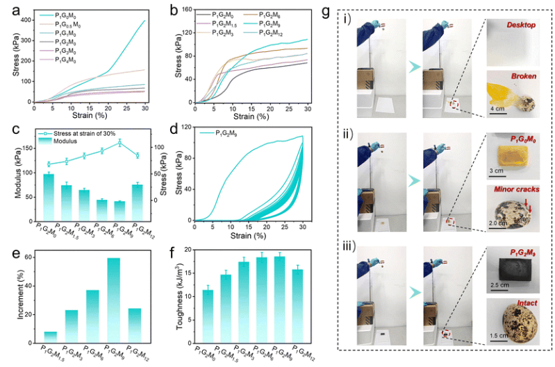 中科院宁波材料所《JMCA》：分层多孔聚酰亚胺/石墨烯气凝胶，具有优异的压缩性和电磁干扰屏蔽性能