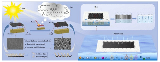 常州大学《JECE》：竹/石墨烯双层蒸发器，用于太阳能驱动和废水净化
