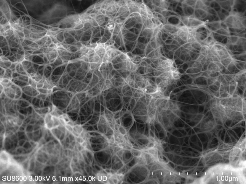 第九届“创客中国”中小企业创新创业大赛总决赛创客组一等奖项目—单壁碳纳米管-超级导电剂宏量制备