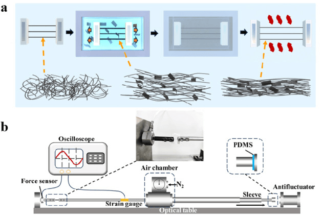 苏州大学等《Cabron》：碳纳米管/石墨烯复合纤维，用于智能纺织品