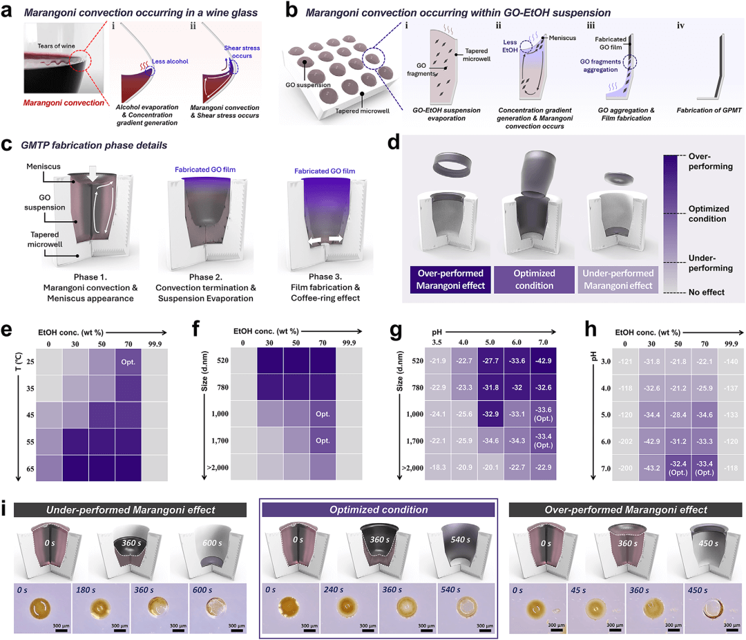 氧化石墨烯三维结构新突破：基于马兰戈尼效应的自支撑波浪式氧化石墨烯模块化锥形管制备技术