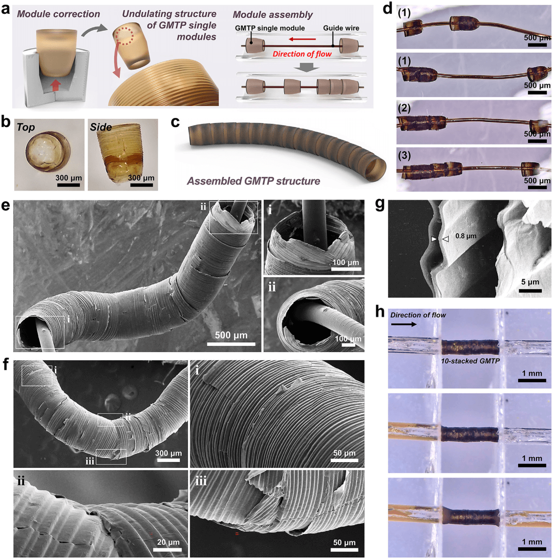 氧化石墨烯三维结构新突破：基于马兰戈尼效应的自支撑波浪式氧化石墨烯模块化锥形管制备技术