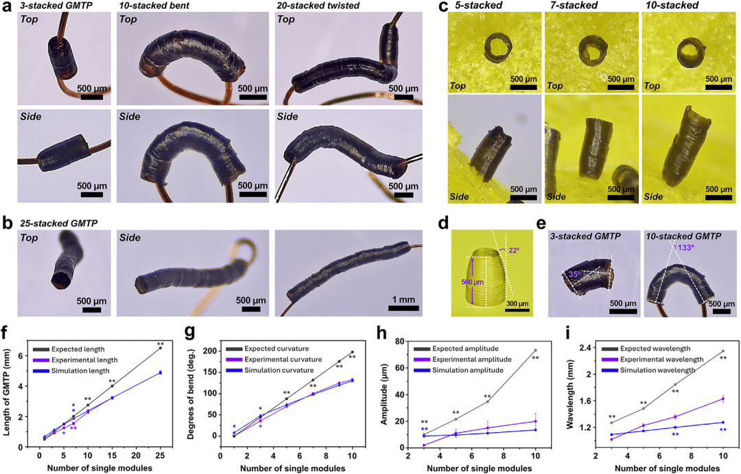 氧化石墨烯三维结构新突破：基于马兰戈尼效应的自支撑波浪式氧化石墨烯模块化锥形管制备技术