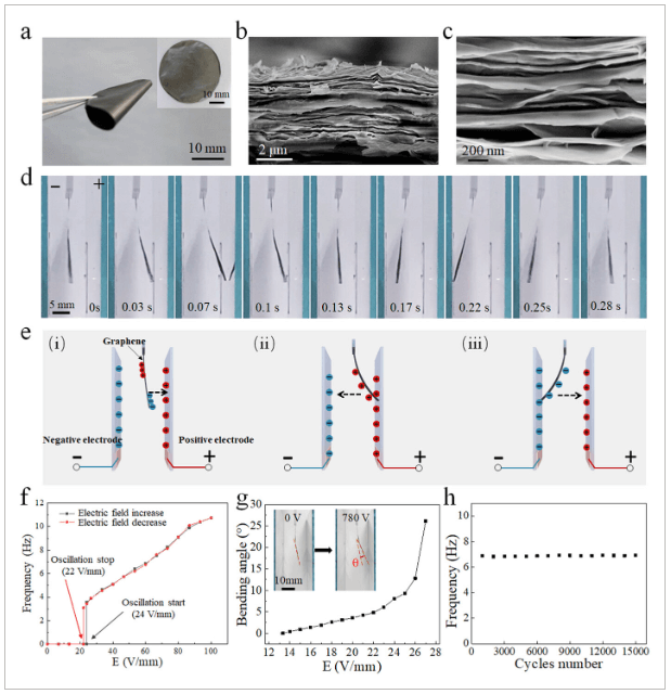 合肥工业大学《AFM》：受海豹启发！基于石墨烯的静电振荡软体机器人，具有光可调运动功能