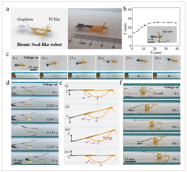 合肥工业大学《AFM》：受海豹启发！基于石墨烯的静电振荡软体机器人，具有光可调运动功能