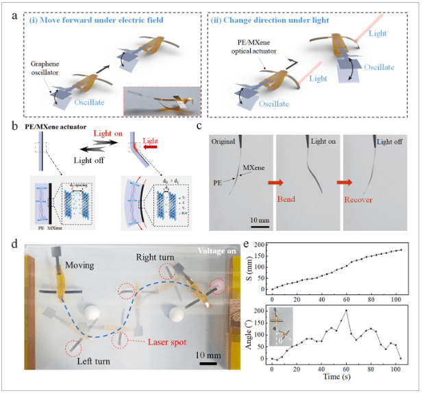 合肥工业大学《AFM》：受海豹启发！基于石墨烯的静电振荡软体机器人，具有光可调运动功能