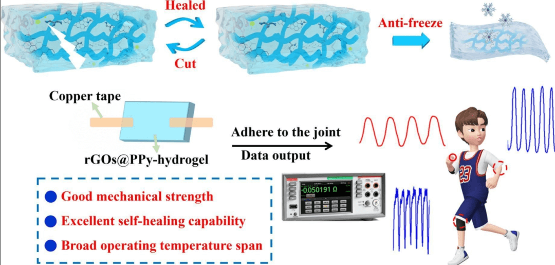 鲁东大学《CES》：石墨烯@PPy复合水凝胶，用于柔性传感器