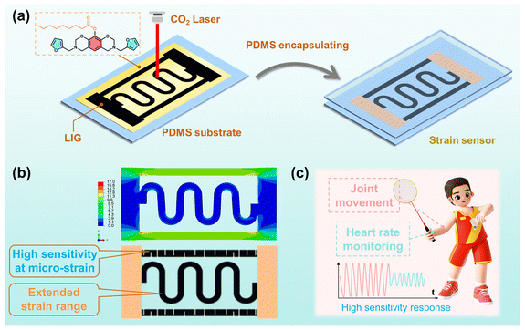 中科院宁波材料所《JMCA》：双结构石墨烯/PDMS复合传感器，用于可穿戴设备应用