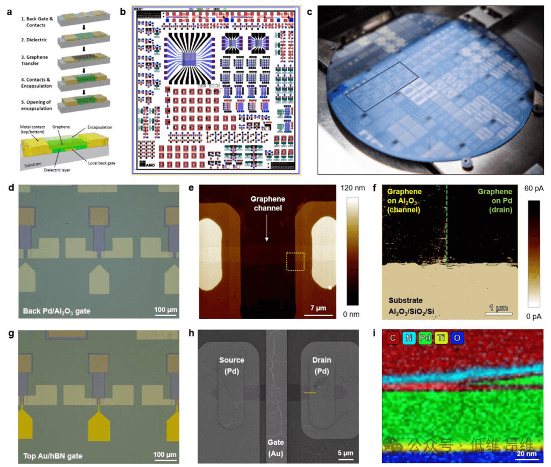 新加坡国立大学Mario Lanza团队Adv. Mater.: 高可靠性石墨烯微芯片的可规模化生产