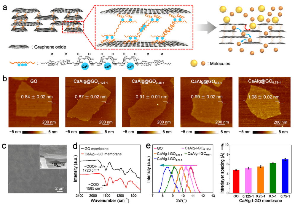 苏州大学靳健教授团队AFM：亚埃级精度石墨烯氧化物膜，实现高选择性分子筛分